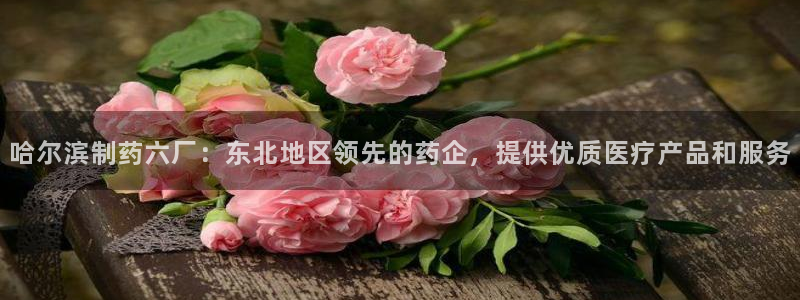 九游老哥俱乐部官网登录：哈尔滨制药六厂：东北地区领先的药企，提供优质医疗产品和服务