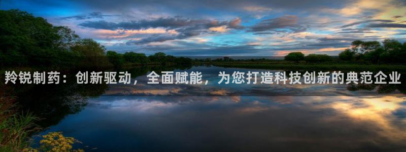 九游会老哥俱乐部官网首页论坛：羚锐制药：创新驱动，全面赋能，为您打造科技创新的典范企业