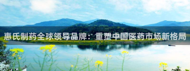 九游会老哥必备的交流社区：惠氏制药全球领导品牌：重塑中国医药市场新格局
