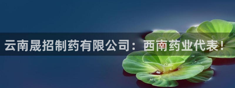 老哥吧九游会下架吗：云南晟招制药有限公司：西南药业代表！