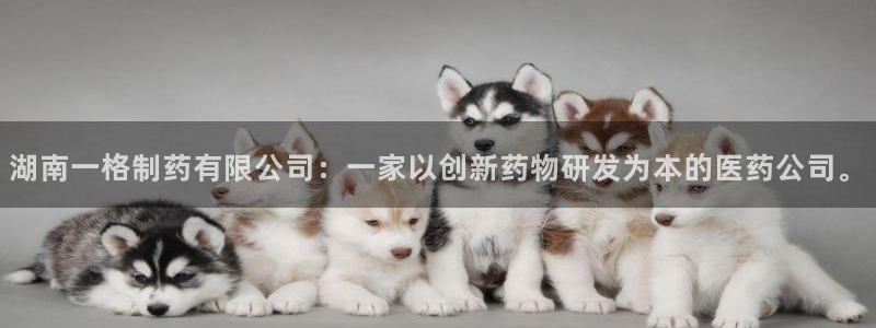 九游会老哥必备的交流社区：湖南一格制药有限公司：一家以创新药物研发为本的医药公司。