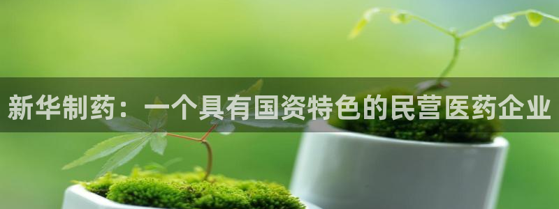 九游老哥俱乐部官网登录入口：新华制药：一个具有国资特色的民营医药企业