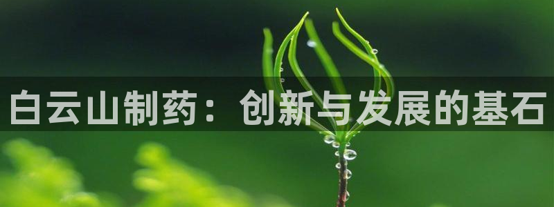 ag九游会老哥：白云山制药：创新与发展的基石