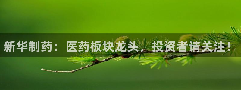 ag九游老哥俱乐部：新华制药：医药板块龙头，投资者请关注！