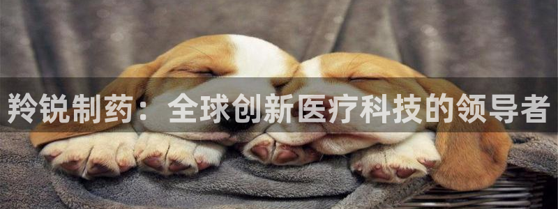 usdt九游会老哥俱乐部：羚锐制药：全球创新医疗科技的领导者