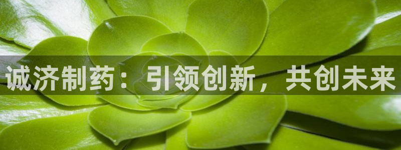 九游会老哥俱乐部官网：诚济制药：引领创新，共创未来