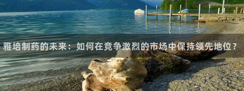 老哥俱乐部是干什么的啊：雅培制药的未来：如何在竞争激烈的市场中保持领先地位？
