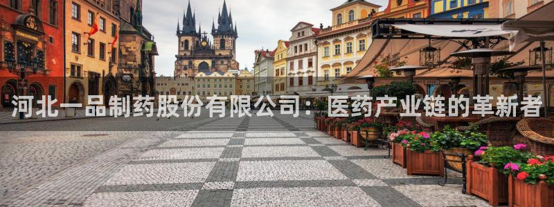九游会老哥俱乐部论坛版：河北一品制药股份有限公司：医药产业链的革新者