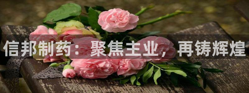 老哥吧九游会：信邦制药：聚焦主业，再铸辉煌