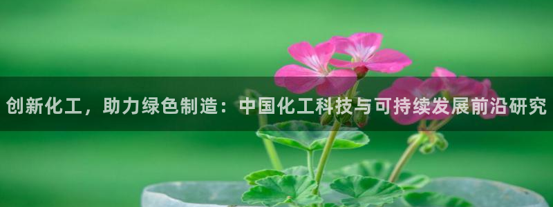 九游老哥俱乐部官网登录不了：创新化工，助力绿色制造：中国化工科技与可持续发展前沿研究