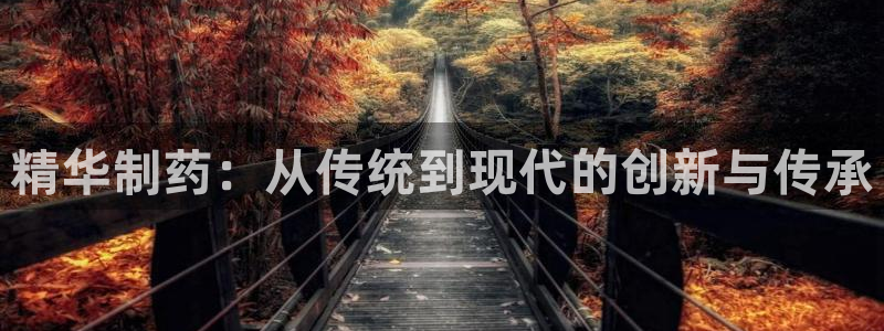 九游会老哥：精华制药：从传统到现代的创新与传承