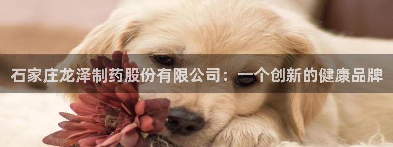 usdt九游会老哥俱乐部：石家庄龙泽制药股份有限公司：一个创新的健康品牌
