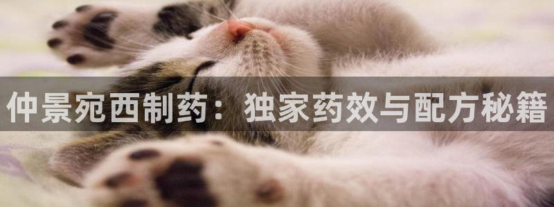 九游会老哥俱乐部社区论坛：仲景宛西制药：独家药效与配方秘籍