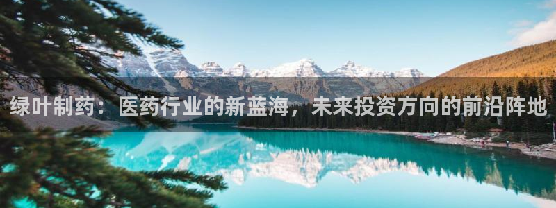 九游会老哥俱乐部：绿叶制药：医药行业的新蓝海，未来投资方向的前沿阵地