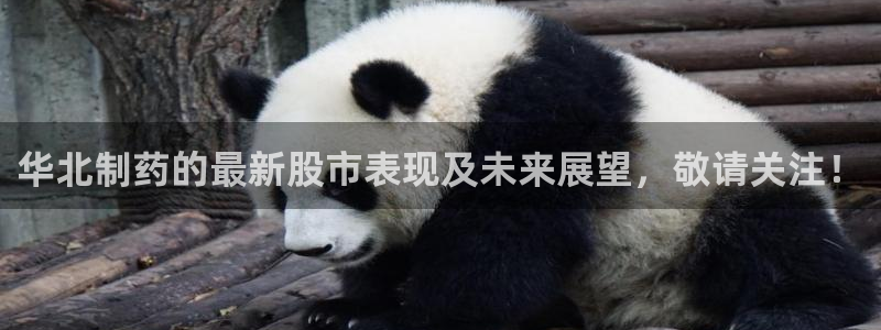 老哥吧九游会下架吗：华北制药的最新股市表现及未来展望，敬请关注！