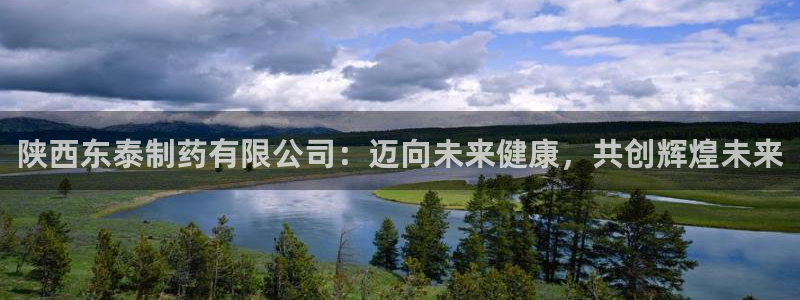 老哥俱乐部是干什么的啊：陕西东泰制药有限公司：迈向未来健康，共创辉煌未来