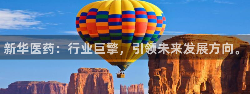9游会老哥俱乐部：新华医药：行业巨擎，引领未来发展方向。