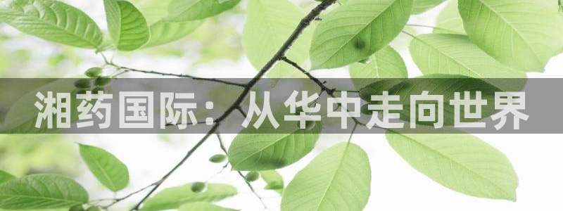 九游会老哥俱乐部论坛版：湘药国际：从华中走向世界