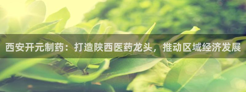 老哥俱乐部是干什么的啊：西安开元制药：打造陕西医药龙头，推动区域经济发展