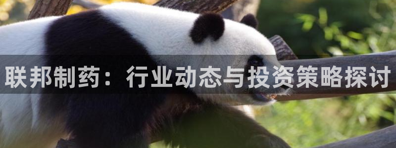 老哥俱乐部是干什么的啊：联邦制药：行业动态与投资策略探讨