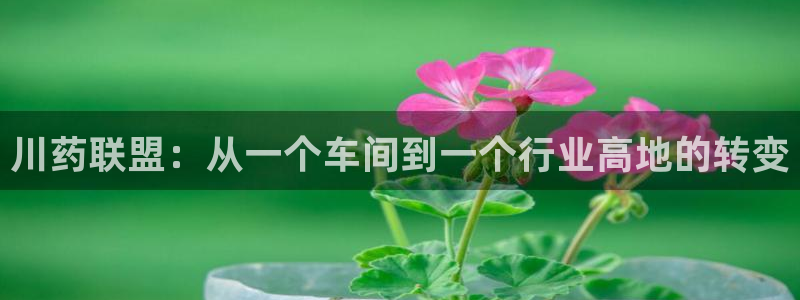 九游会老哥俱乐部交流社区：川药联盟：从一个车间到一个行业高地的转变