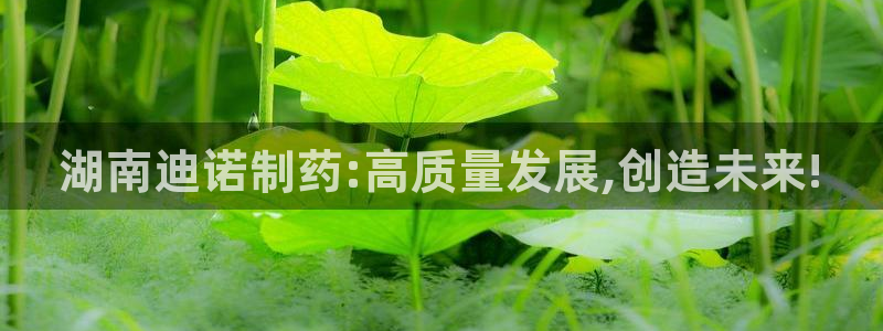 九游会老哥必备的交流社区九：湖南迪诺制药:高质量发展,创造未来!