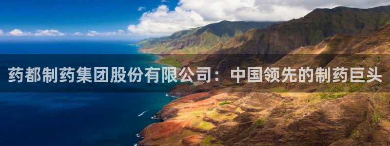 九游会老哥俱乐部交流社区：药都制药集团股份有限公司：中国领先的制药巨头
