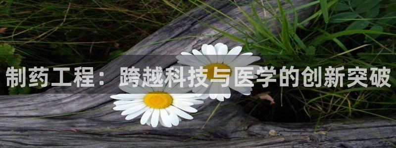 九游会老哥俱乐部交流社区：制药工程：跨越科技与医学的创新突破