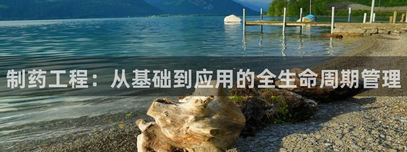 九游老哥俱乐部官网登录入口：制药工程：从基础到应用的全生命周期管理