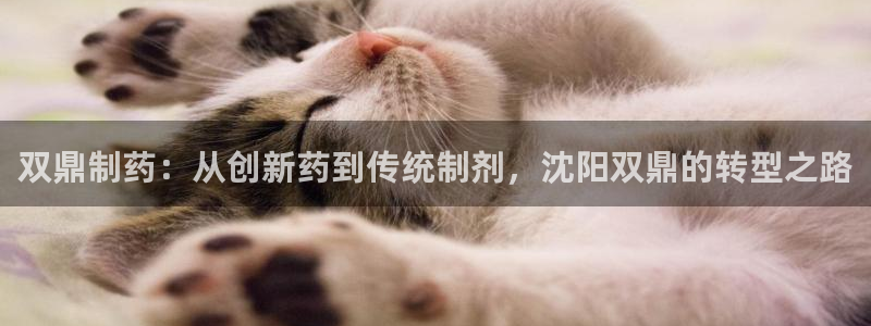 九游会老哥俱乐部：双鼎制药：从创新药到传统制剂，沈阳双鼎的转型之路