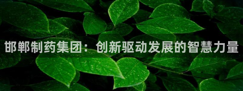 九游会老哥俱乐部社区论坛：邯郸制药集团：创新驱动发展的智慧力量