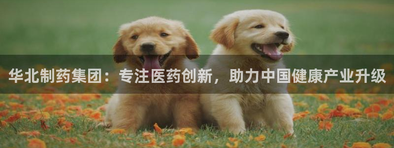 ag九游会老哥：华北制药集团：专注医药创新，助力中国健康产业升级
