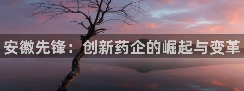 九游会老哥俱乐部：安徽先锋：创新药企的崛起与变革